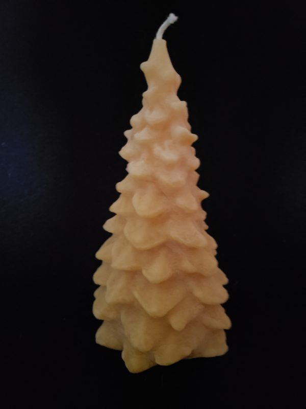 Evergreen Tree : Large