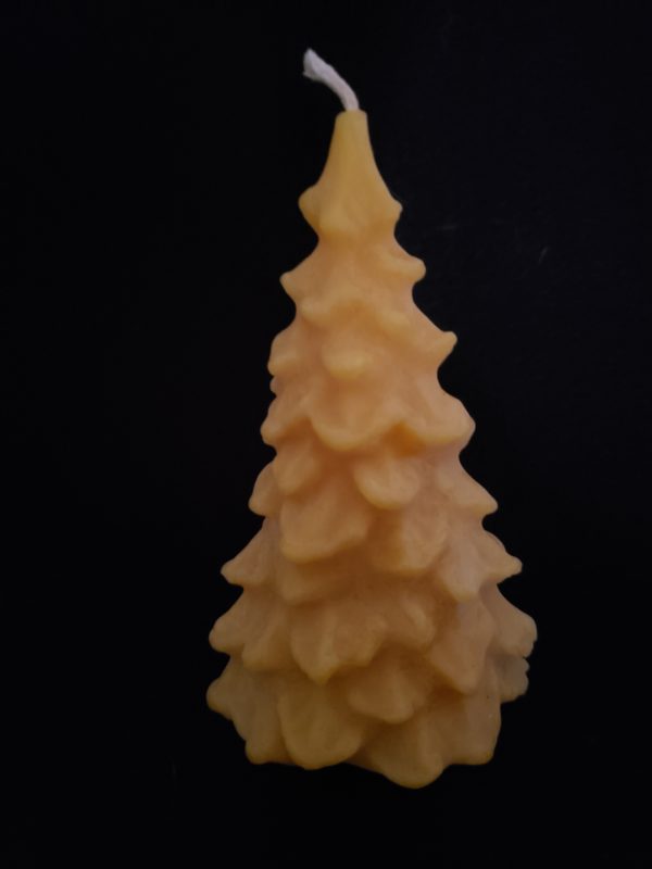 Everygreen Tree: Medium