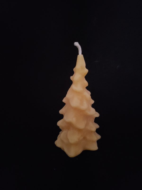 Evergreen Tree: Small