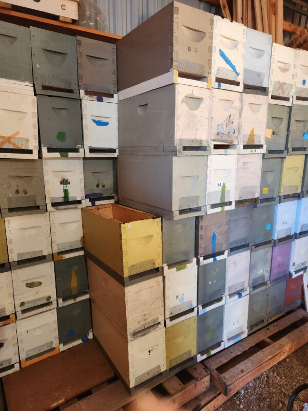 4 frame wooden NUC Boxes - Image 2