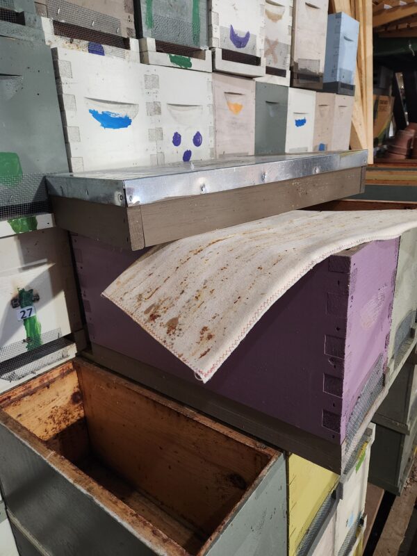 4 frame wooden NUC Boxes