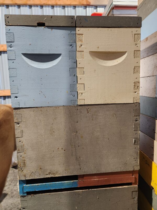 Double Nuc Boxes - Without frames and bees
