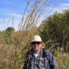 Big Bluestem - Native - Seed - Image 3